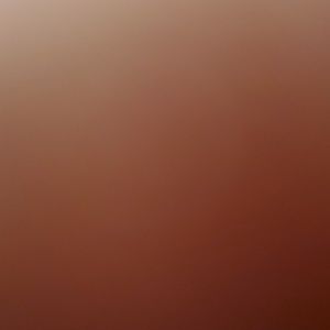 Meet your Posher, Jackson